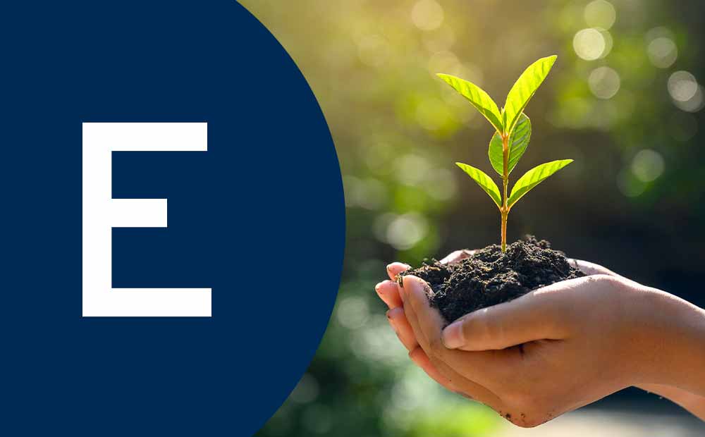 accitrade inversiones y oportunidades con