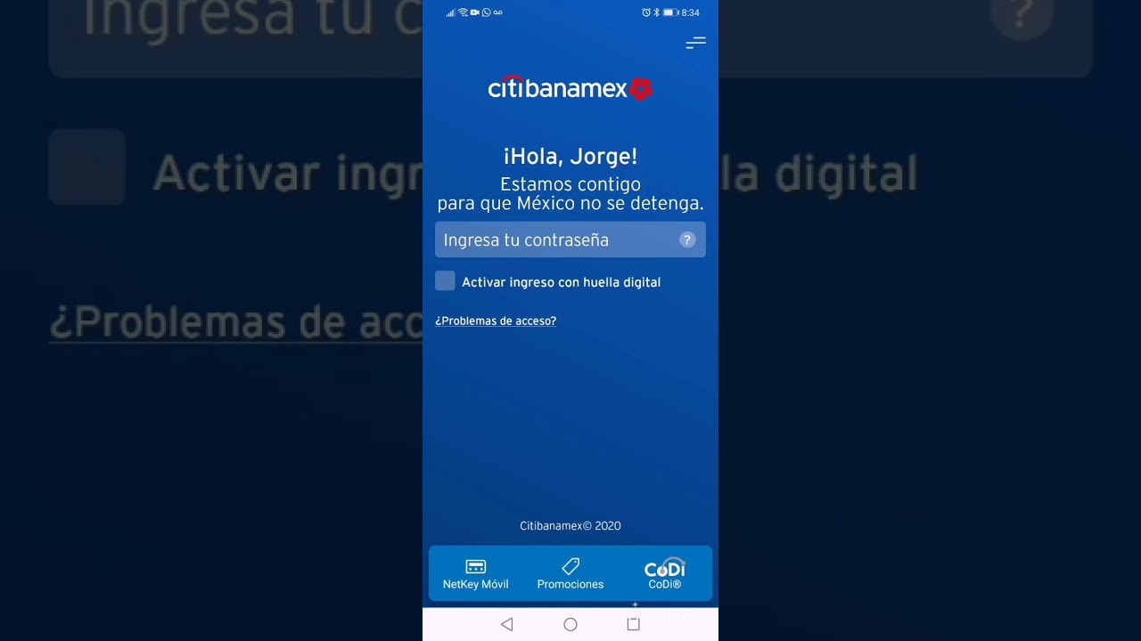 Cómo consultar tu saldo Banamex por mensaje 5 Cómo consultar tu saldo Banamex por mensaje