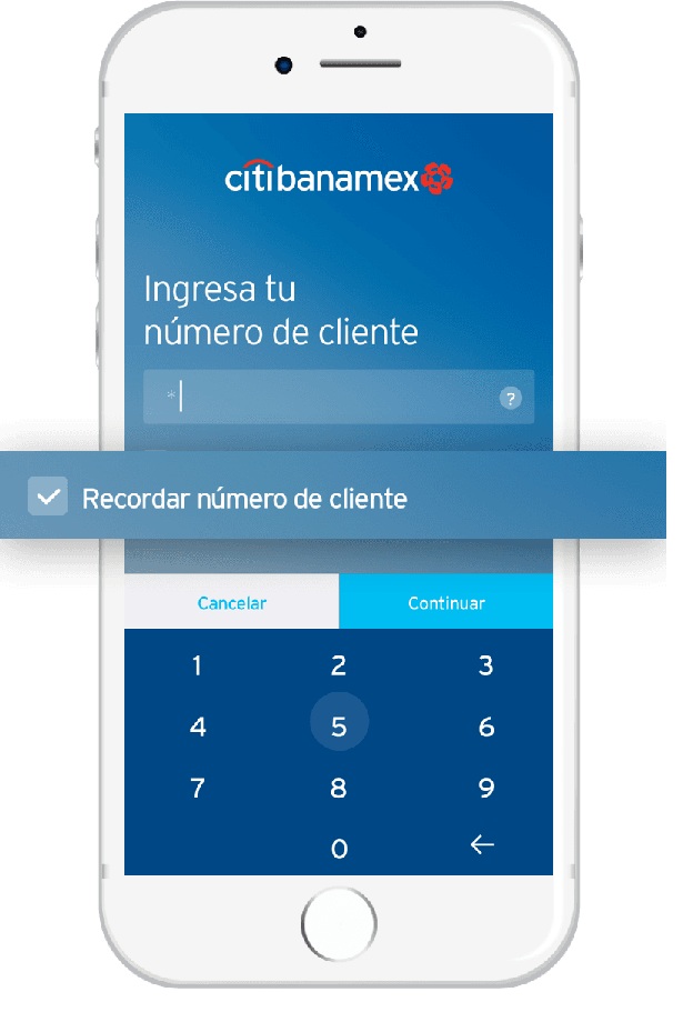 Encuentra Tu N Mero De Cuenta Banamex Gu A R Pida Y Eficaz