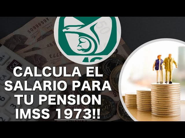 como saber en que afore estoy guia completa y facil