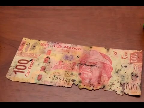 es posible cambiar billetes rotos y cuanto valen realmente