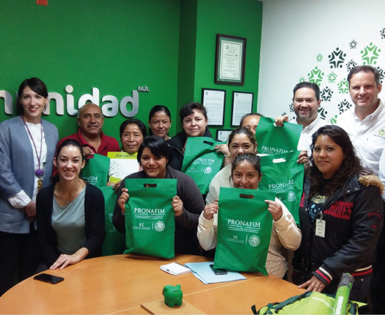 las microfinancieras y pronafim impulso a micronegocios